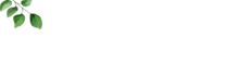 Ѽ ķ